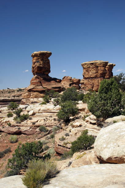 istock Canyonlands National Park  (1/3) 1174548106