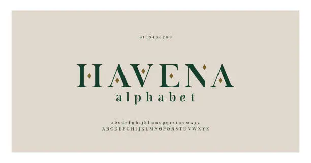 Vector illustration of Elegant alphabet letters serif font and number. Classic Lettering Minimal Fashion. Typography fonts regular uppercase, lowercase and numbers. vector illustration