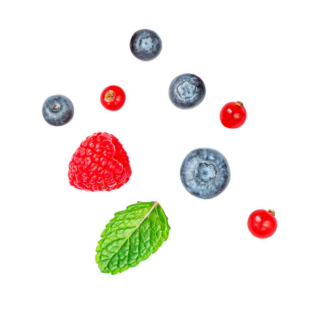 istock Isolated berries. Falling mix  berries isolated on white background. Raspberry, Blueberry, Blackberry. red currant and Mint leaf 1174558606