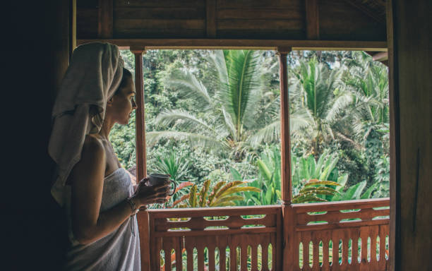 istock View from window on tropical garden 1174559565