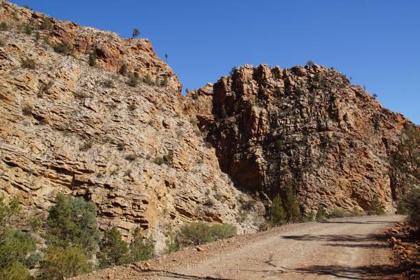 istock Unsealed Road through Brachina Gorge 1174560480