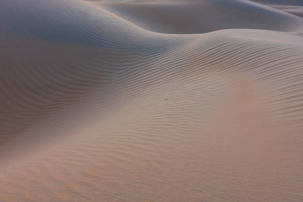 istock Sunrise in the arabic sand desert 1174567919