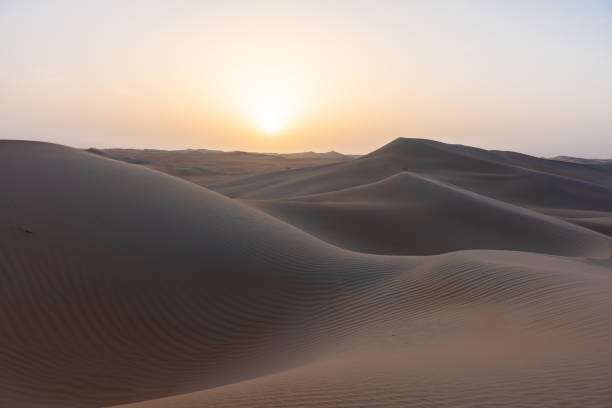 istock Sunrise in the arabic sand desert 1174567949