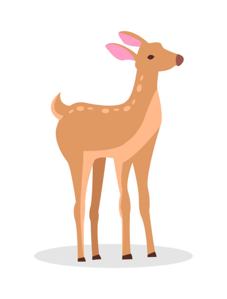 взрослый доу изолированный вектор в мультфильме стиль значок - stag deer doe cartoon stock illustrations