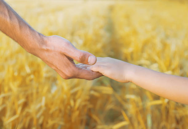istock Child and father in a wheat field. Selective focus. 1174572440