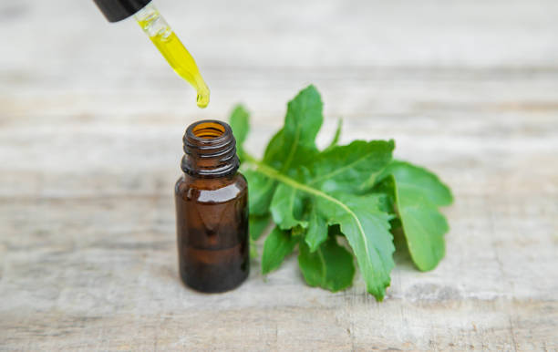 istock Arugula oil in a small bottle. Selective focus. 1174572690