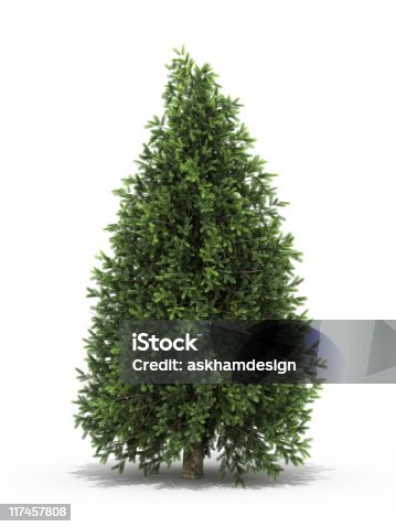 istock Christmas Tree 117457808