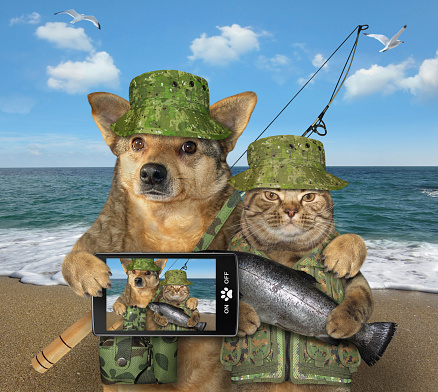 The dog fisher with a smartphone is hugging the cat with a caught fish after the fishing on the seashore.