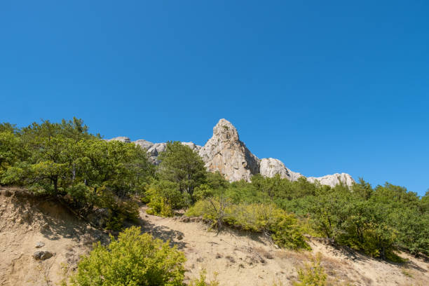 istock View of the cliffs surrounded by a green forest against a blue sky, Crimea. 1174581113