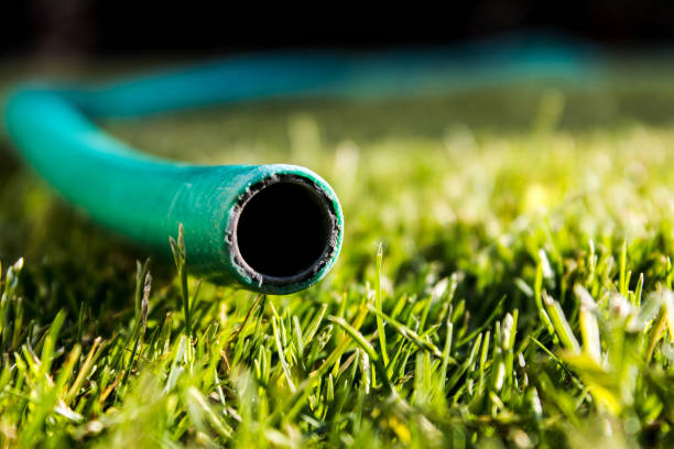 A close-up photo of a woman's hand while watering a garden.