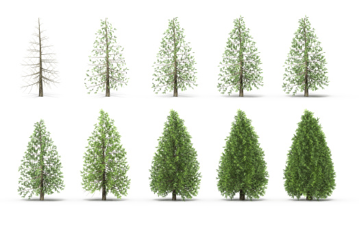 The illustration depicts a 3-dimensional rendering of a forest arrangement that is isolated on a plain background. The forest arrangement is composed of various types of trees, shrubs, and plants, arranged in a natural and organic manner.