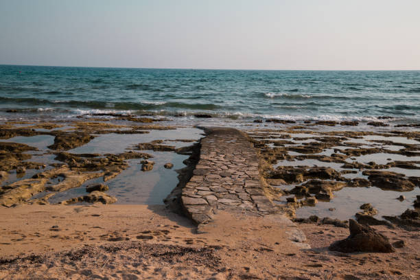 Wooden walkway for little adventure along the coastline to peninsula at Khao Laem Ya National Park , Rayong , Thailand