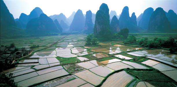 istock Lijiang River in Guilin 1174593925