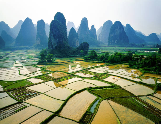istock Lijiang River in Guilin 1174593951