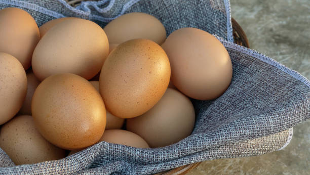 istock Chicken eggs in a basket on a gray background. 1174596777