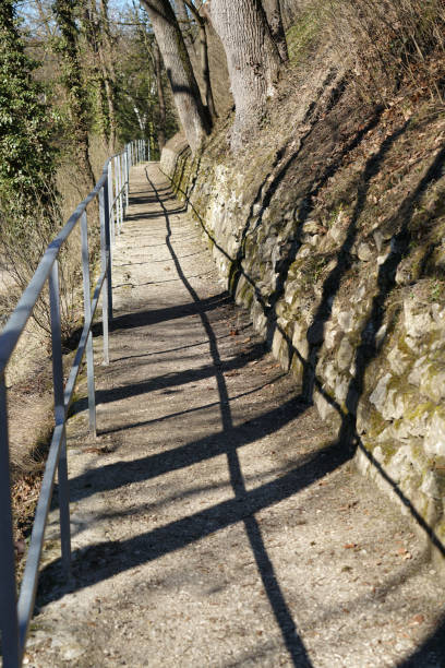 istock Maintained park for recreation for all open 1174597395
