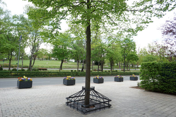 istock Maintained park for recreation for all open 1174597540