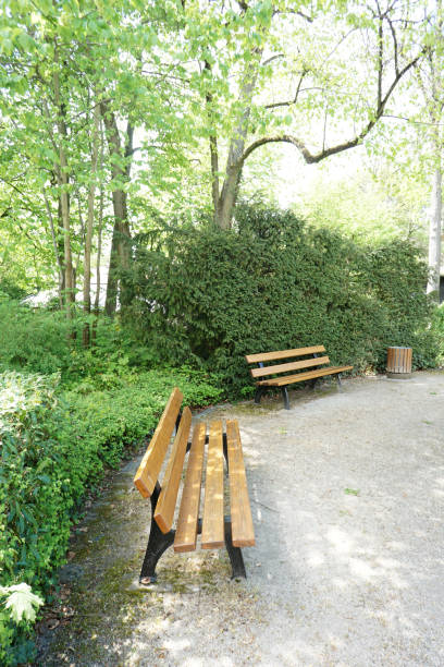 istock Maintained park for recreation for all open 1174597554