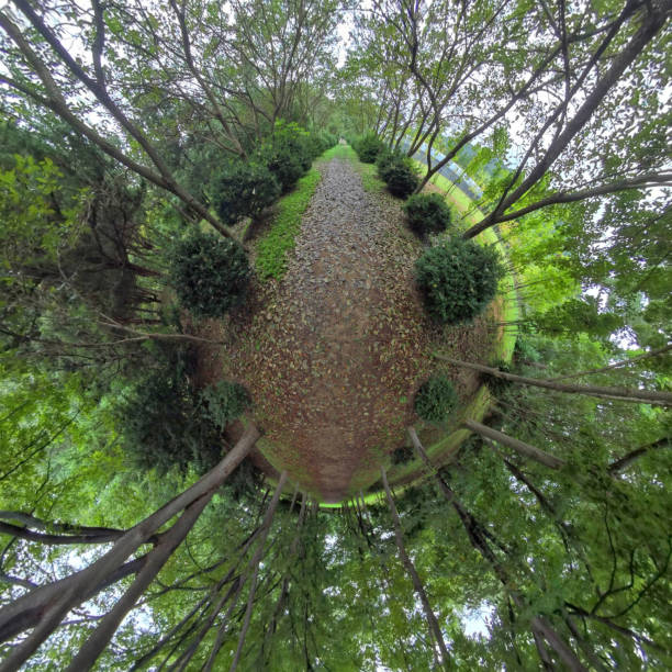 istock Little planet 360 panorama_Arboretum and Forest