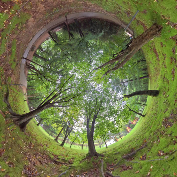 istock Little planet 360 panorama_Arboretum and Forest