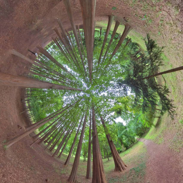 istock Little planet 360 panorama_Arboretum and Forest