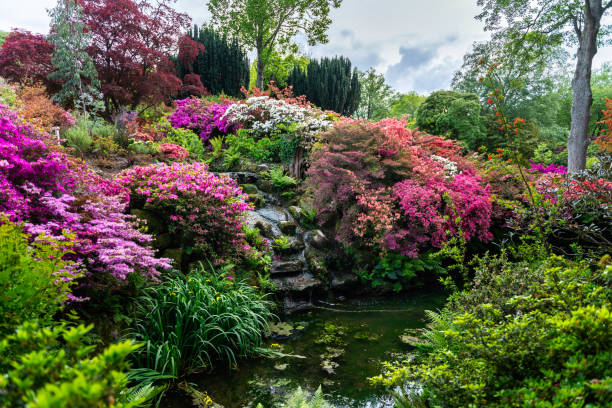 istock Garden with blooming trees during spring time, Wales, UK 1174603170