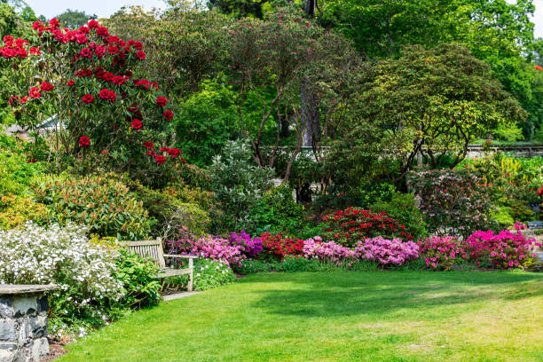 istock Beautiful Garden with blooming trees during spring time 1174603174