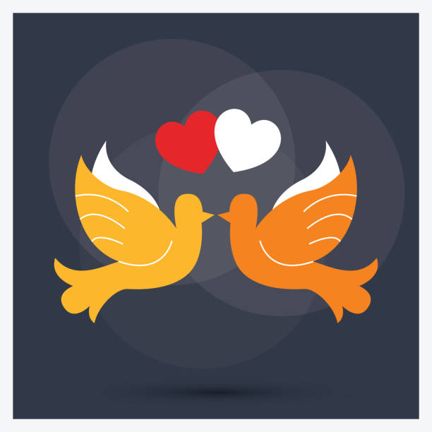 istock couple of pigeons line icon 1174604122