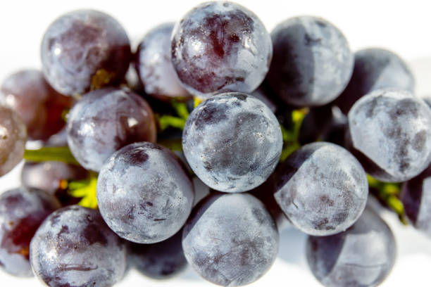 istock close-up of bright ripe purple grape berries 1174604166