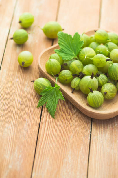 istock Berry organic, vitamin food. 1174605434