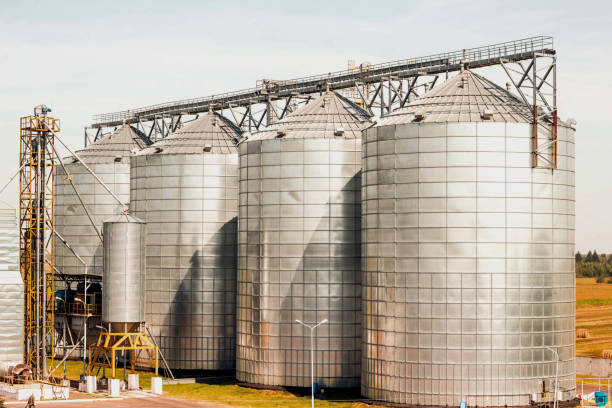 istock Modern farm complex for storing grain, cereals, corn and oilseed rape, agriculture, silo 1174605892