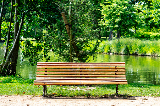 The empty wooden bench