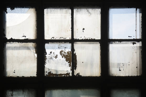 The city of Pripyat, in northern Ukraine, was evacuated after the explosion at the Chernobyl Nuclear Power Plant in 1986 and despite once being home to nearly 50,000 people, has never been inhabited since.