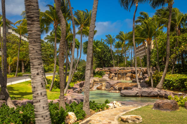 istock Resort Entrance located in Aruba Eagle Beach 1174613163