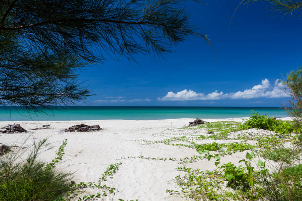 istock Empty paradise beach at Borneo Malaysia 1174615422