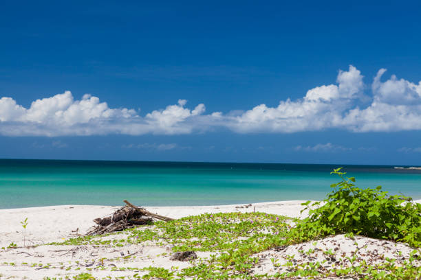istock Empty paradise beach at Borneo Malaysia 1174615423