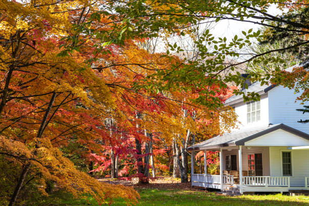 karuizawa autumn scenery street view - cottage autumn wood woods imagens e fotografias de stock