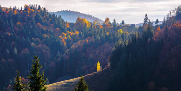 istock great panoramic view of romania mountain landscape 1174616733