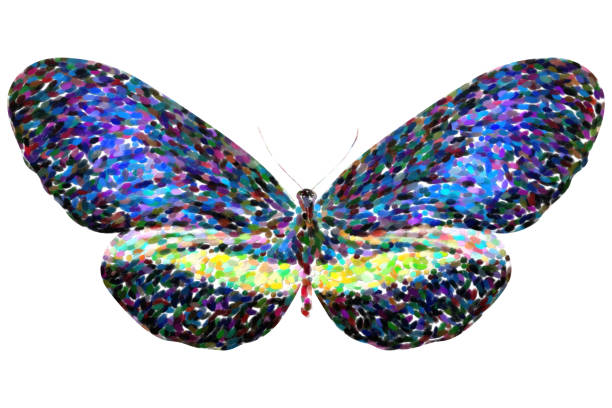 istock tropical blue butterfly. isolated on white background 1174619096
