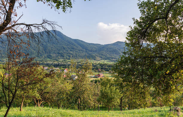 istock Landscape with apple tree garden in mountains 1174622771