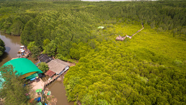 istock areial view Thung Prong Thong viewpoint 1174626496