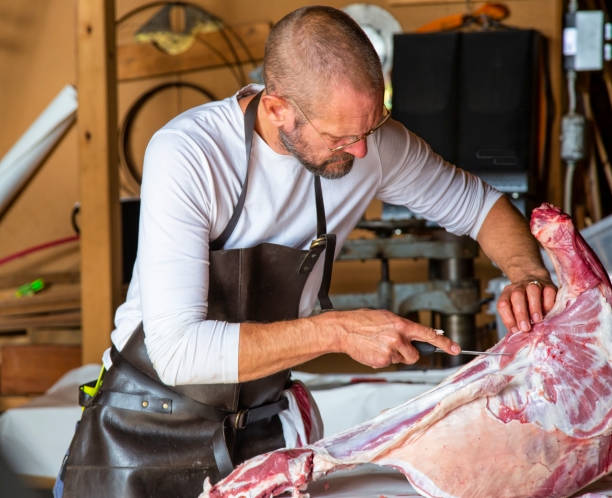 istock Mid adult man with beard cutting up recently slaughtered lamb. 1174629028