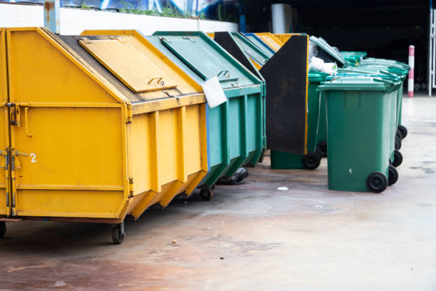 istock Yellow and green waste bins are allocated for discarding the waste that has been sorted. 1174629086