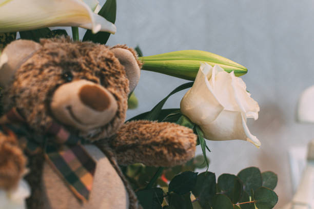 istock white roses and a teddy bear on white background 1174630178