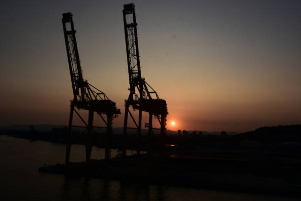 istock Crane in the harbor AT SUNSET 1174632783