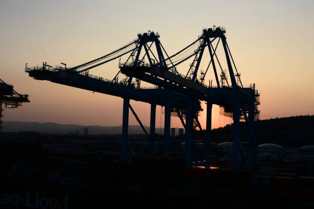istock Crane in the harbor AT SUNSET 1174632787