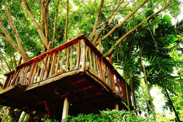 istock Little Tree House In Northern 1174635802