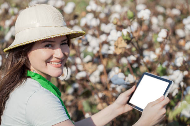 istock young woman farmer holding cotton 1174639890