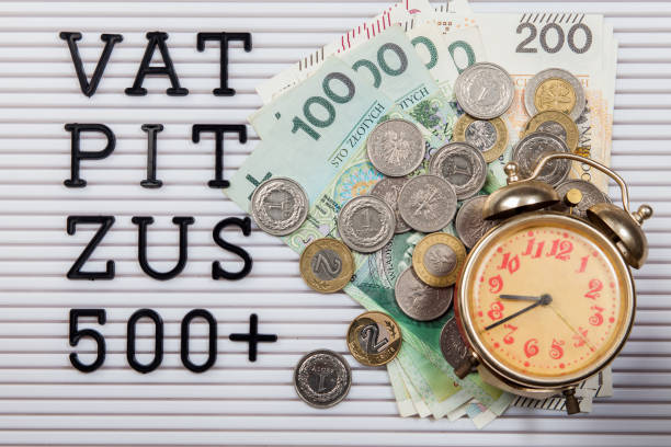 istock co-financing and expenses for VAT, PIT, ZUS, 500 plus 1174640041