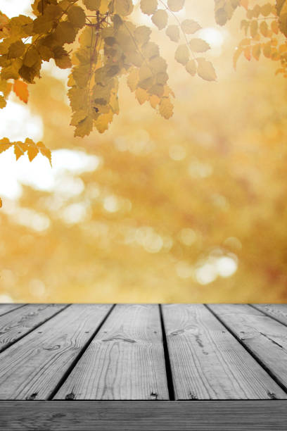 istock Wooden table and blurred leaf nature autumn background. 1174640359